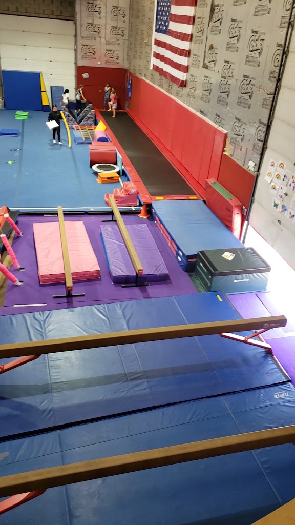  Twist'N Flip Gymnastics