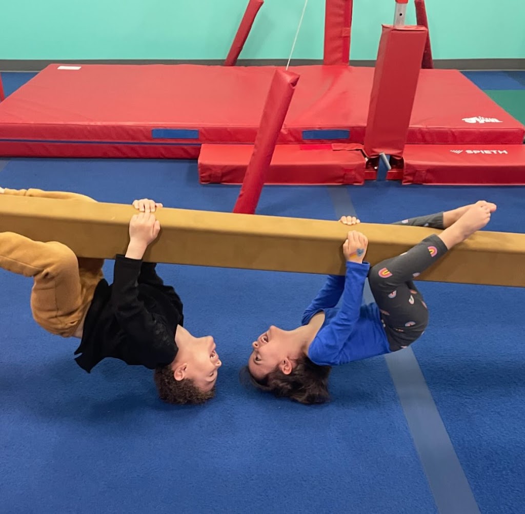  The Little Gym of St. Louis Park, MN