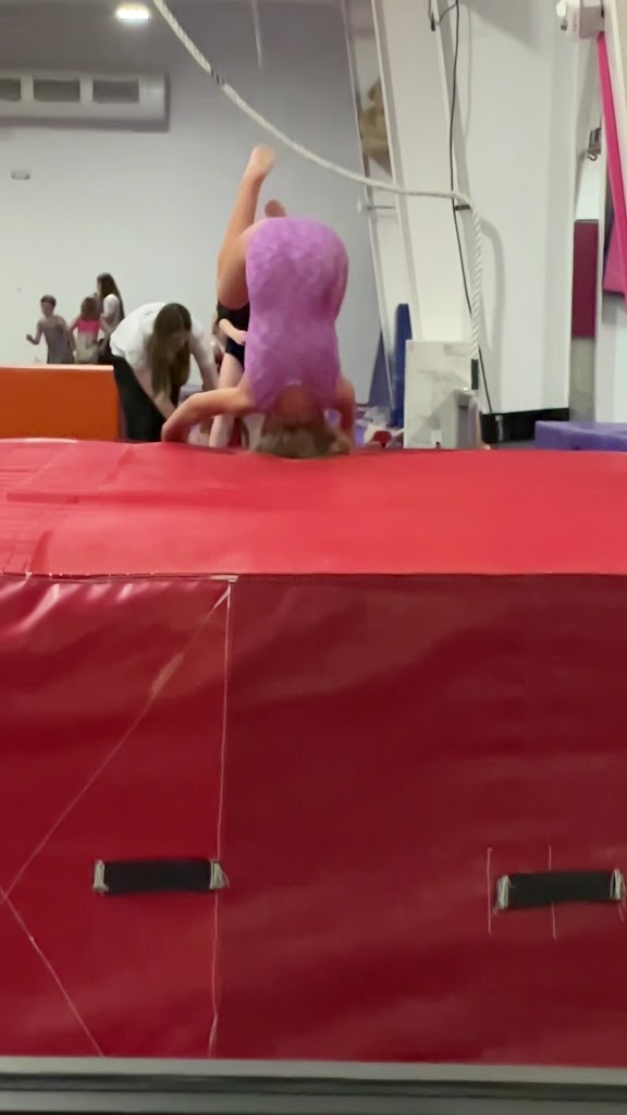  Twisters Gymnastics