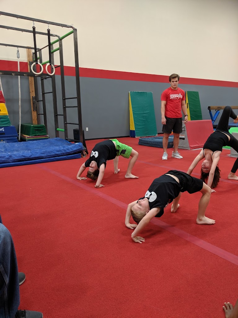  Arizona Dynamics Gymnastics