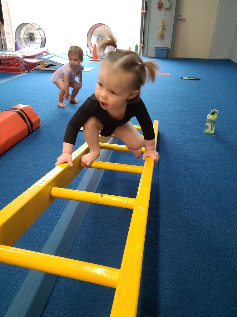  The Gymnastics Zone, Inc.