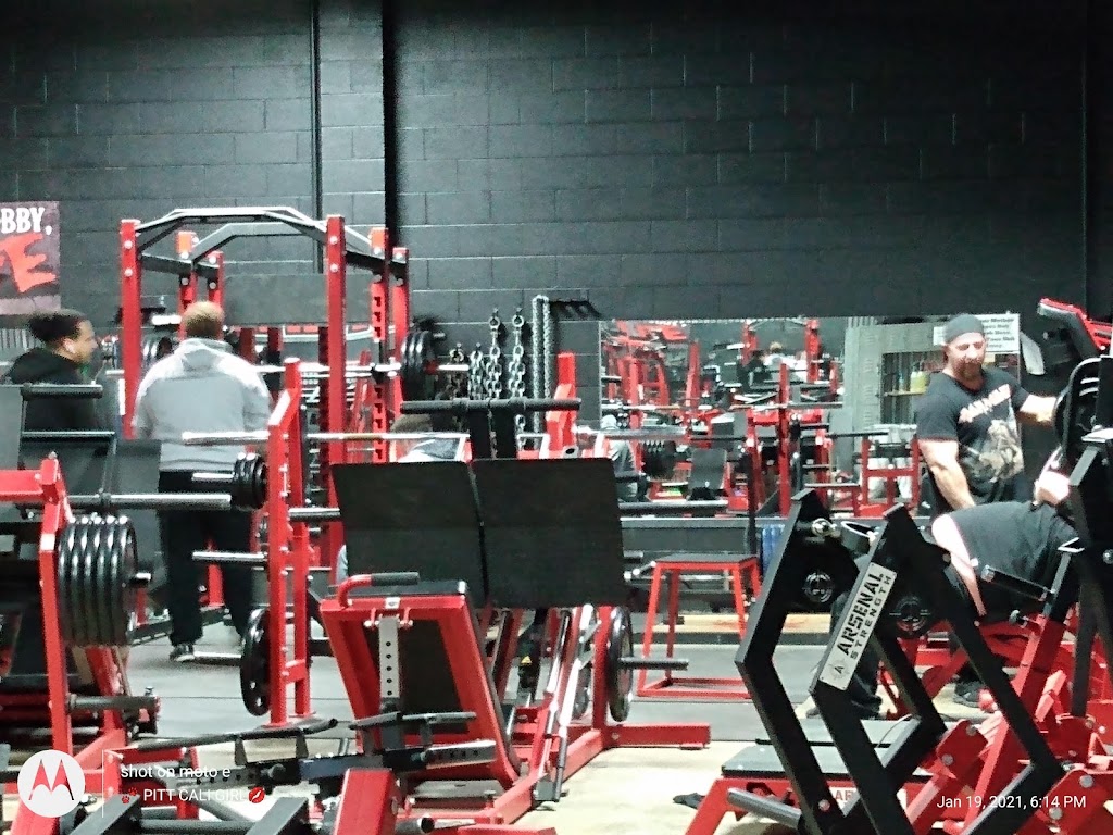  The Pitt, House of Gainz