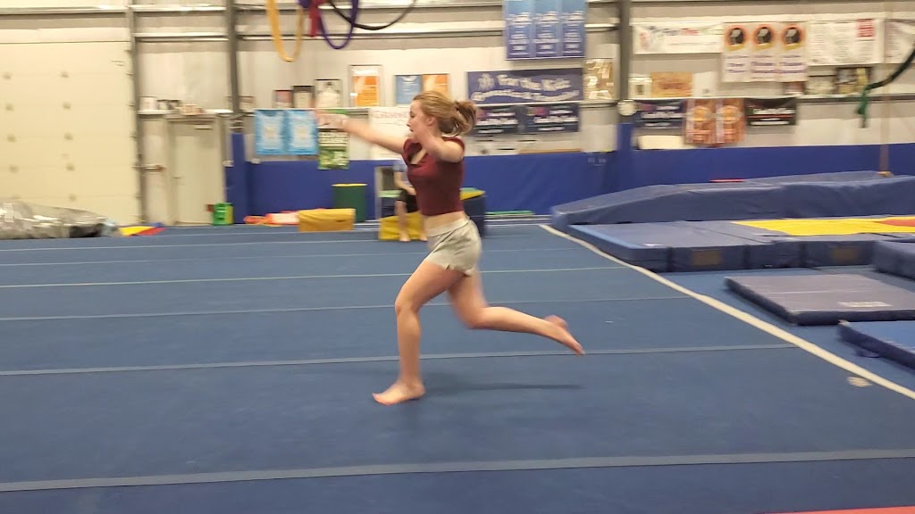  For the Kidz Gymnastics