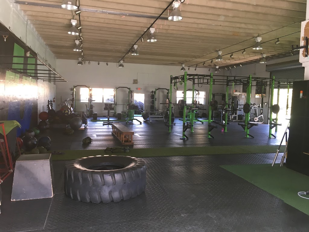  Elite U Sports Performance