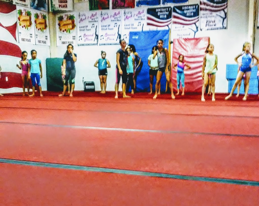  Gionastics Gymnastics