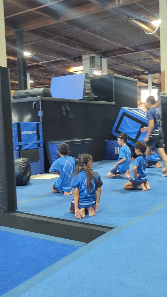  The Praxeum - Parkour x MMA