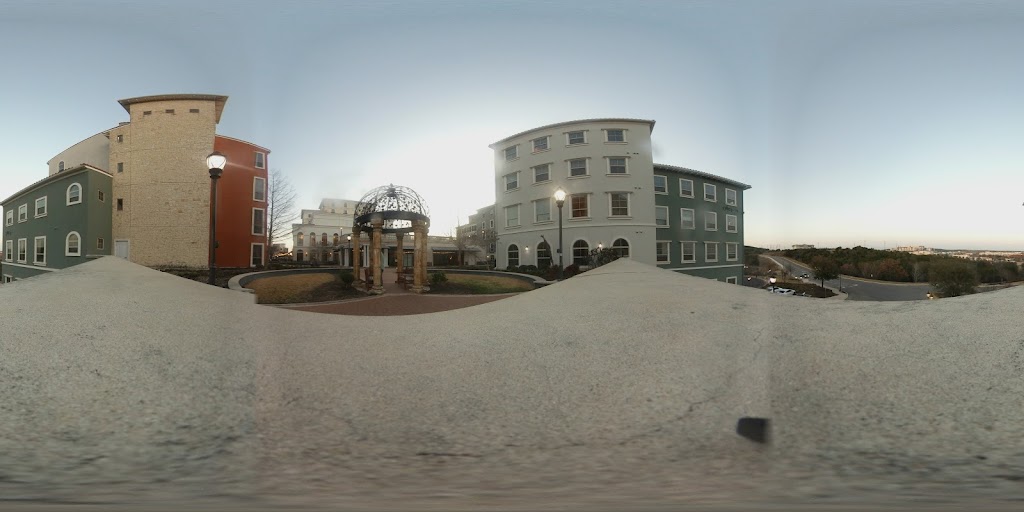  Black Stallion Boxing Plus