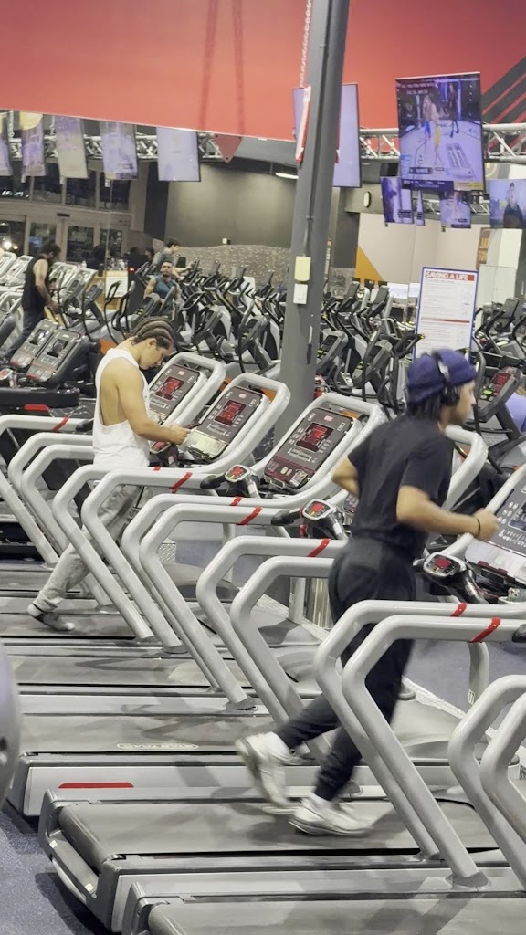  Crunch Fitness - Cutler Bay