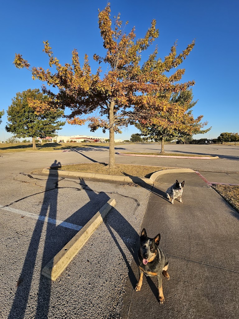  Taylor Regional Park & Sports Complex
