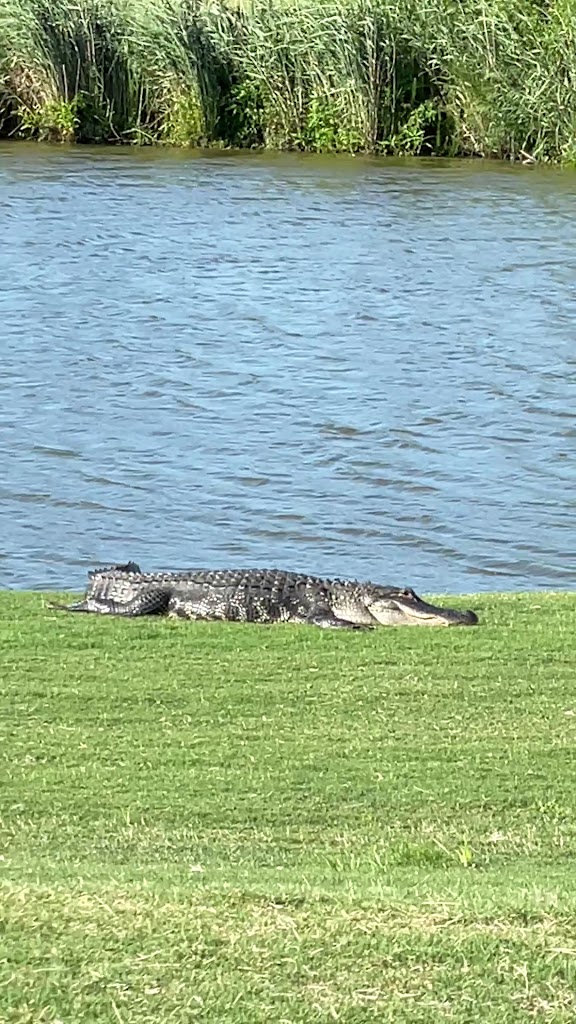  The Club At Savannah Harbor