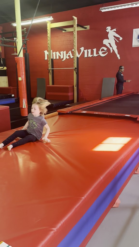  Ninjaville
