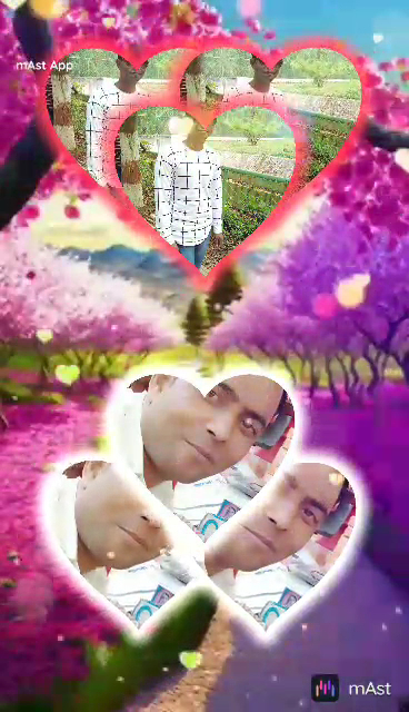  Llamaste Family Yoga Center