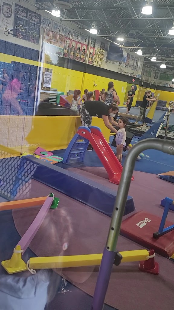  Tumblebees Gymnastics & Dance