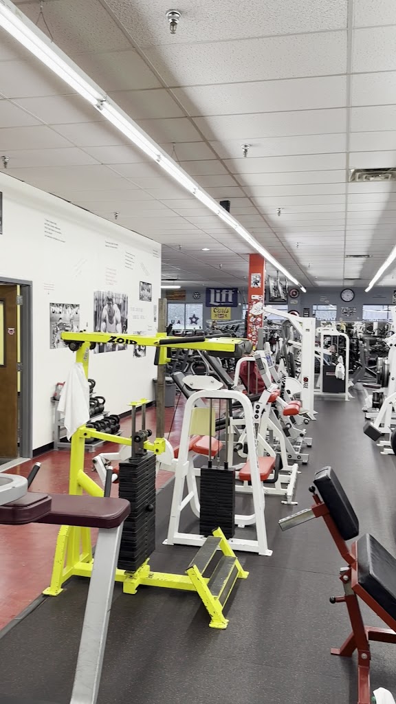  American Muscle & Fitness