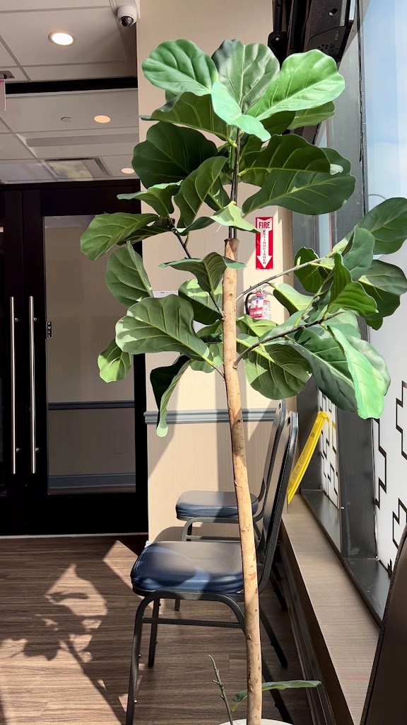  [solidcore] East Village