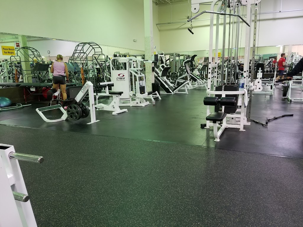  Busy Body Fitness Center Premium