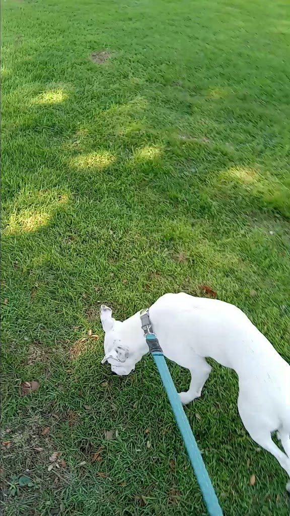  Edward Vincent Jr Pool