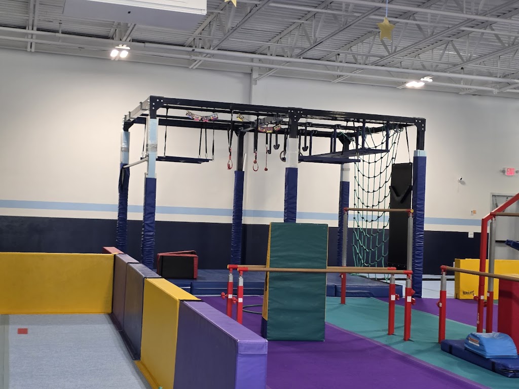  Alpha Omega Gymnastics & Dance Kingwood