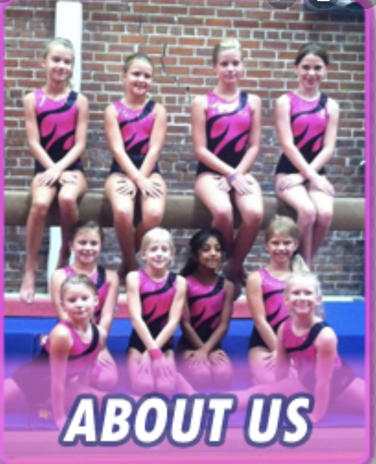  LIC Gymnastics