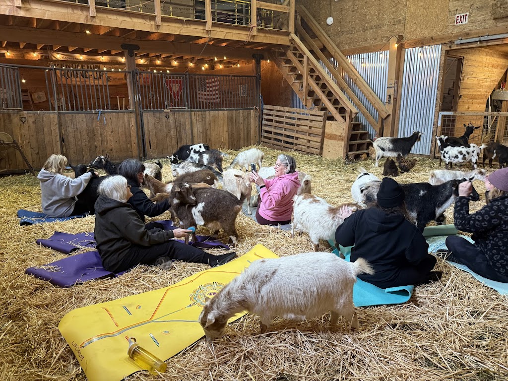  Original Goat Yoga- Oregon City OR