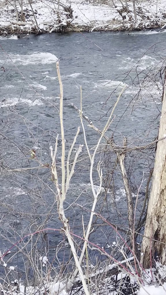  Hamburg Town Park Fitness Center