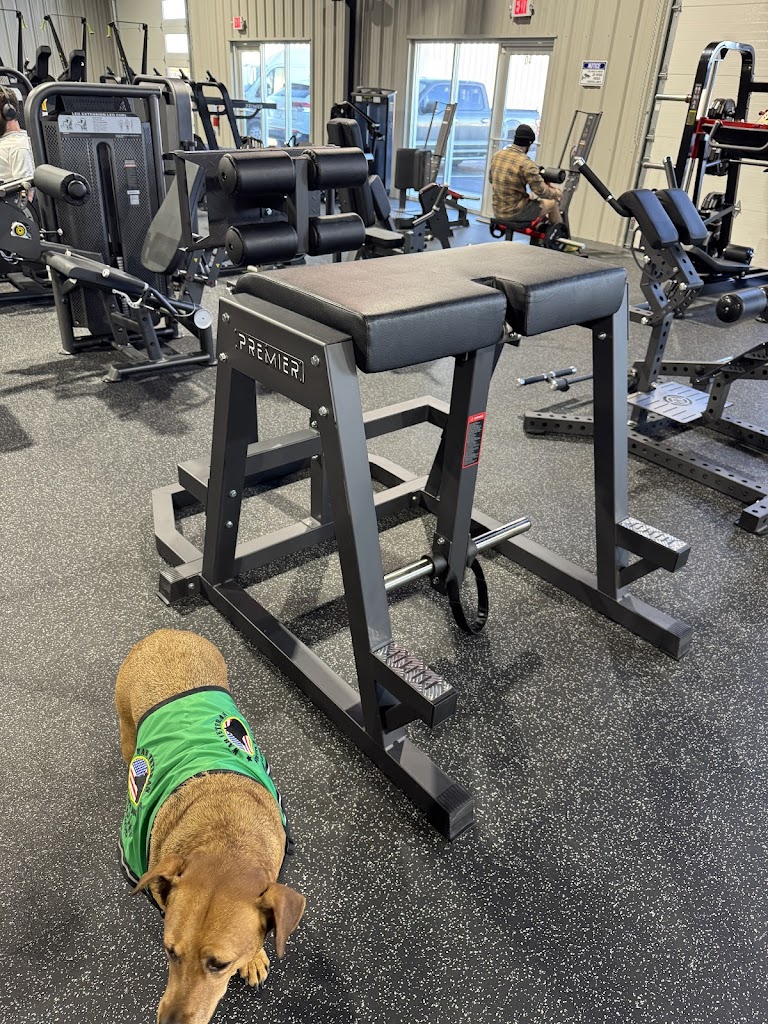  The Iron Plate Gym #2