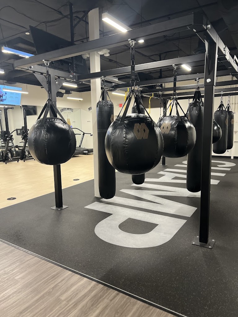  Mayweather Boxing + Fitness