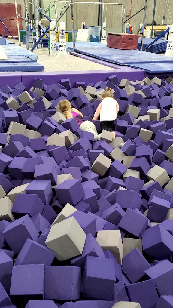  Top Contenders Gymnastics