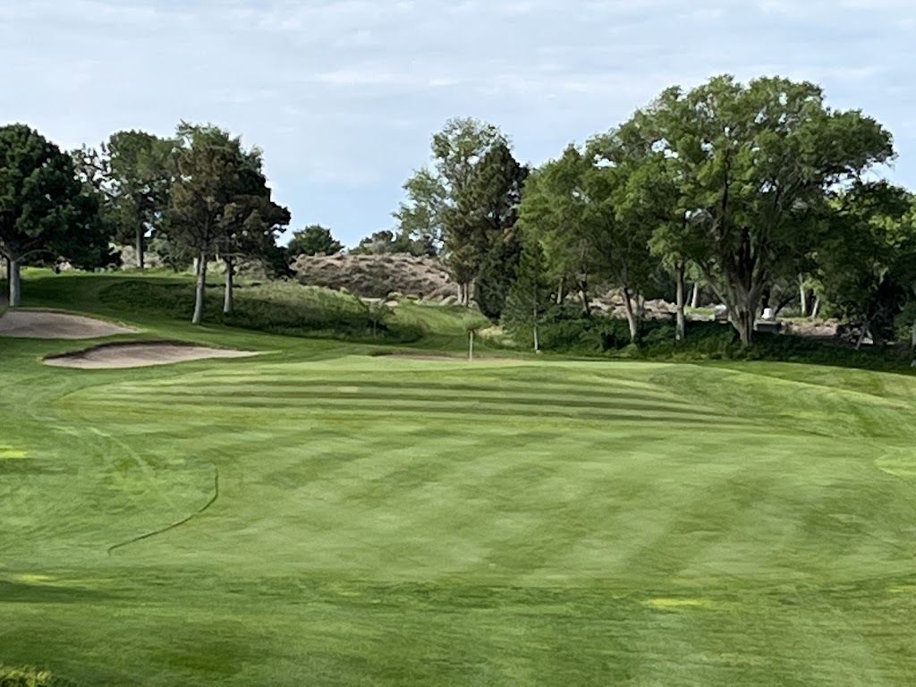  University of New Mexico