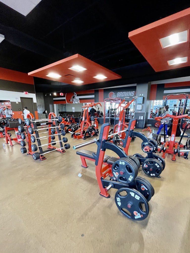  Browns Fit
