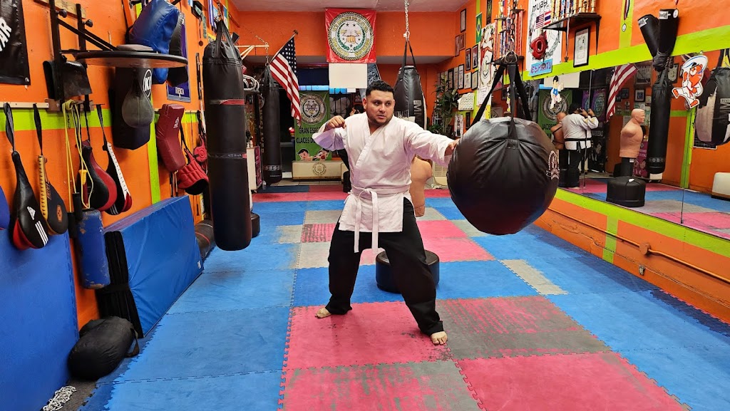  Vi's Karate Do School