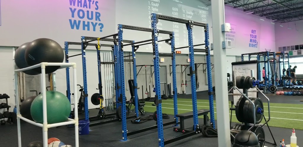  Player's Fitness and Performance