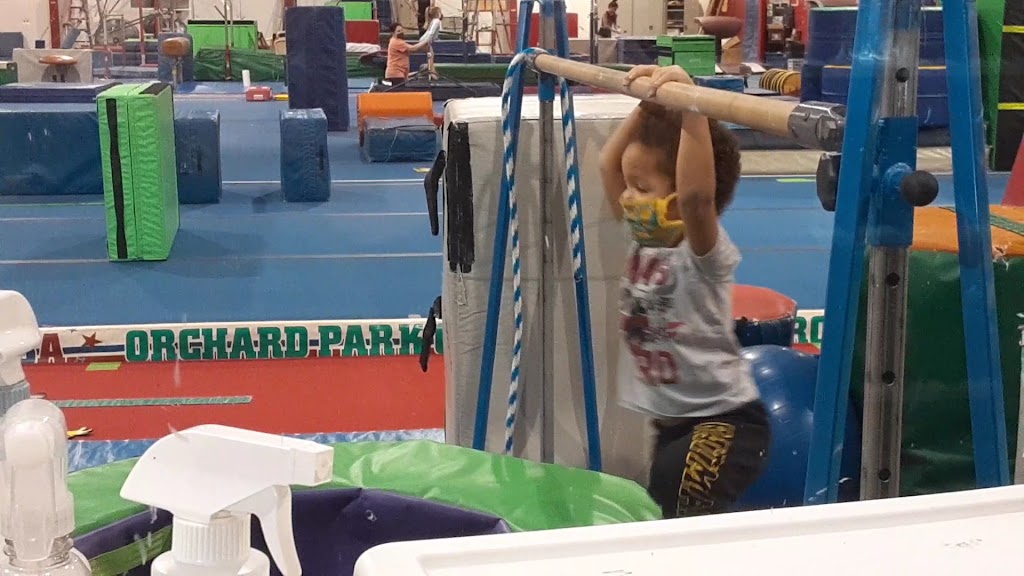  Gymnastics Unlimited