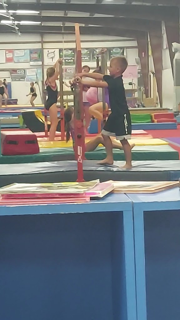  Choice Gymnastics