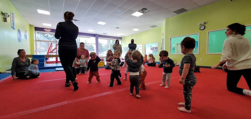  The Little Gym of Sea Girt