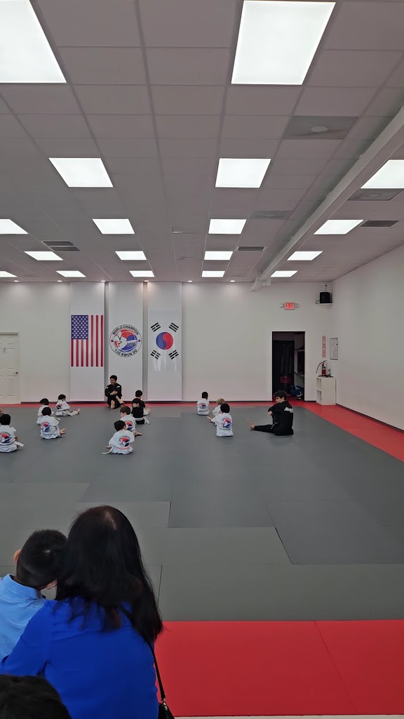  Leaders Taekwondo - Formerly know as Master Lee's World Champion TKD Firethorne