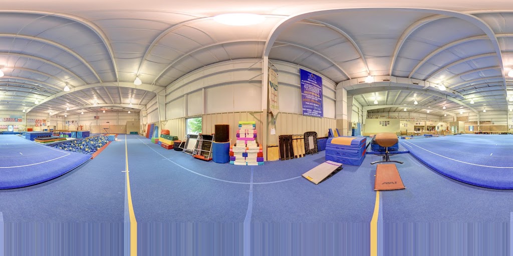  Dance Moves And Gymnastics