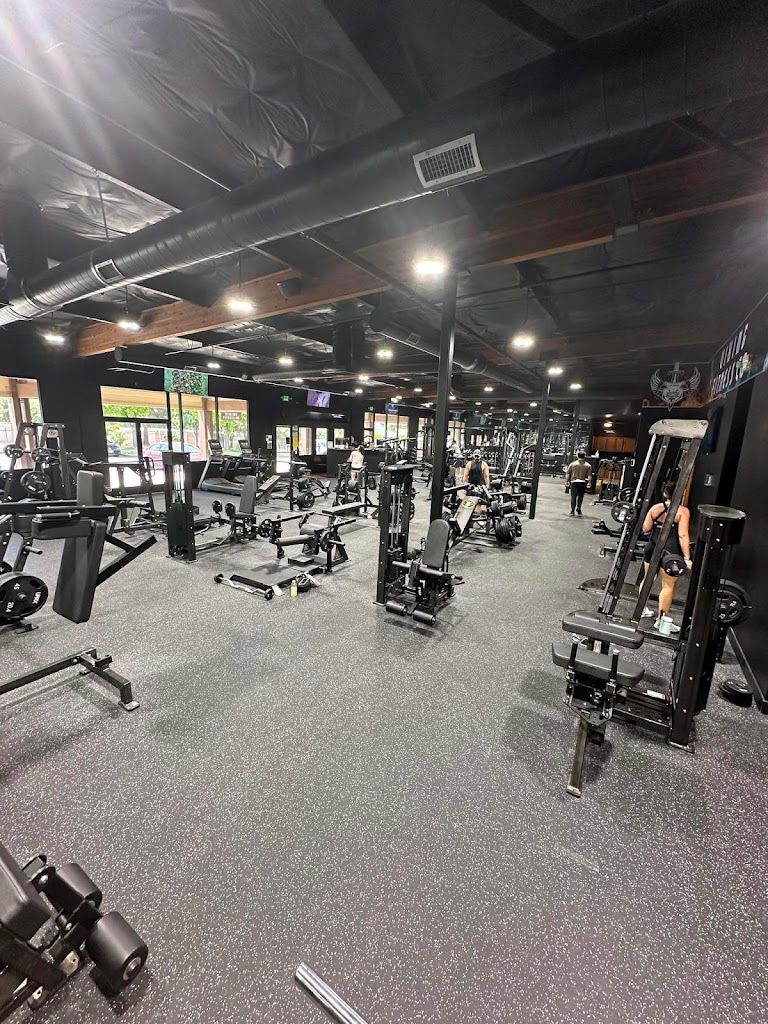  Viking Fitness Company