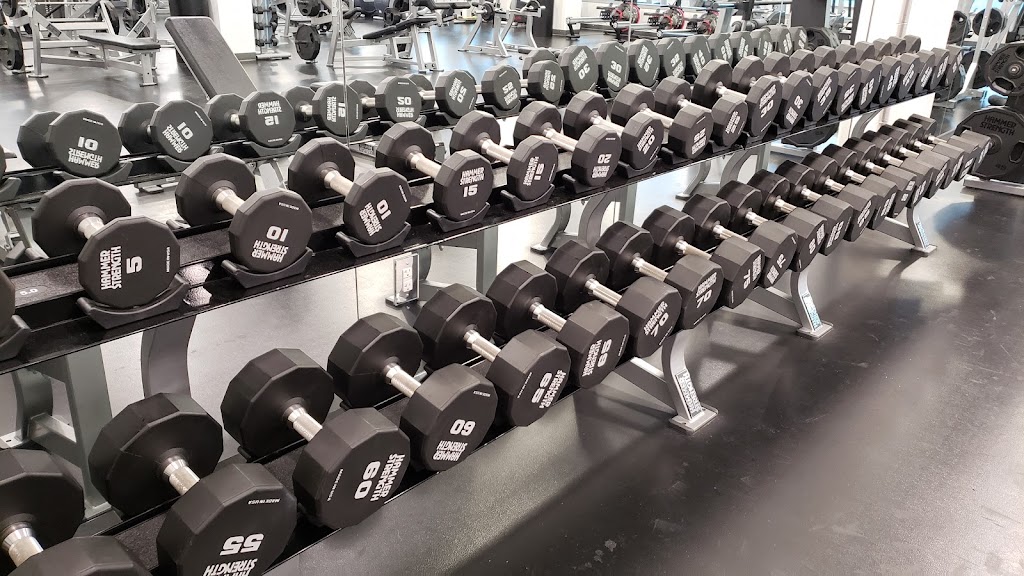  Sea Colony Freeman Fitness Center