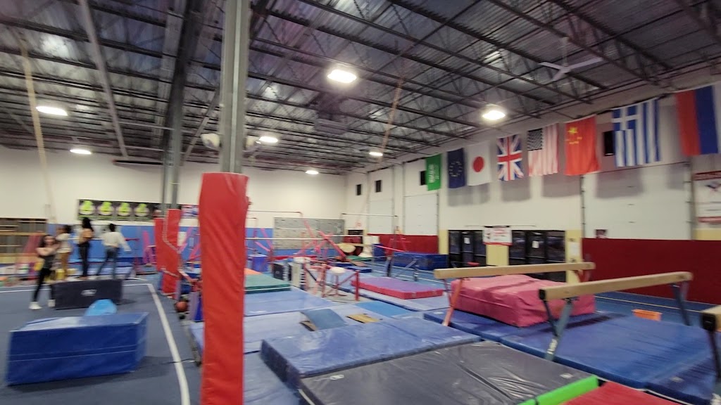  DC Gymnastics School