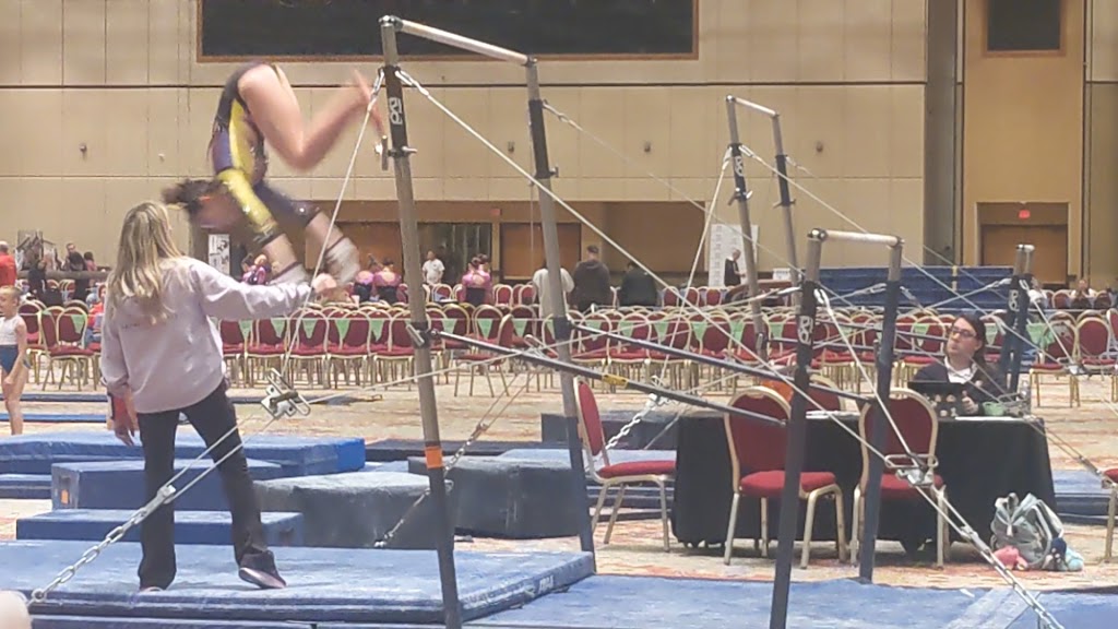  Ultimate Sports Connection