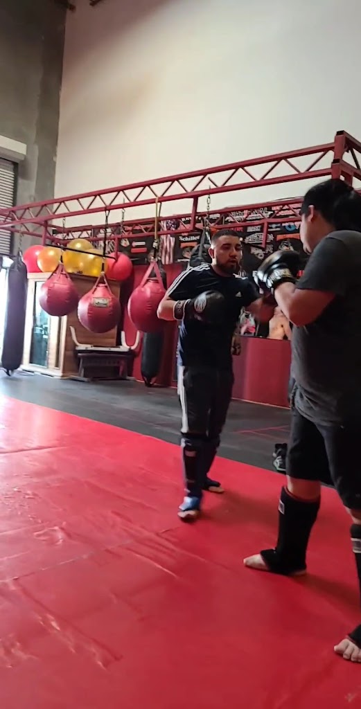  Aguirre's Fighting System