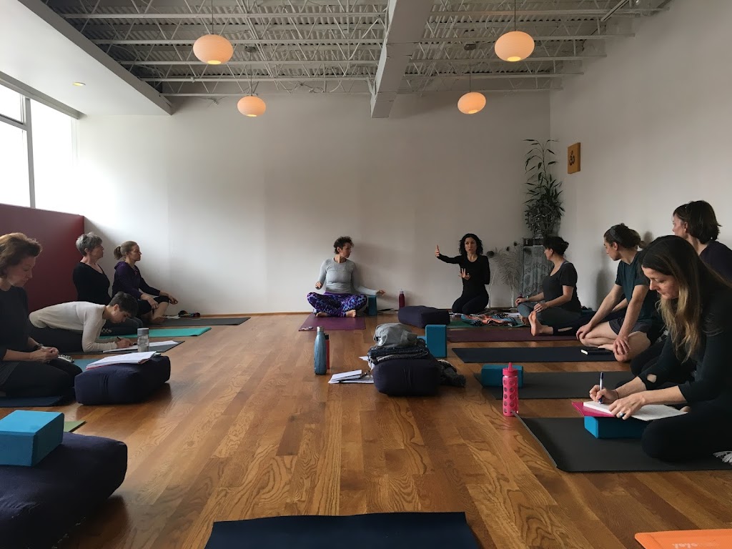  Yoga Collective