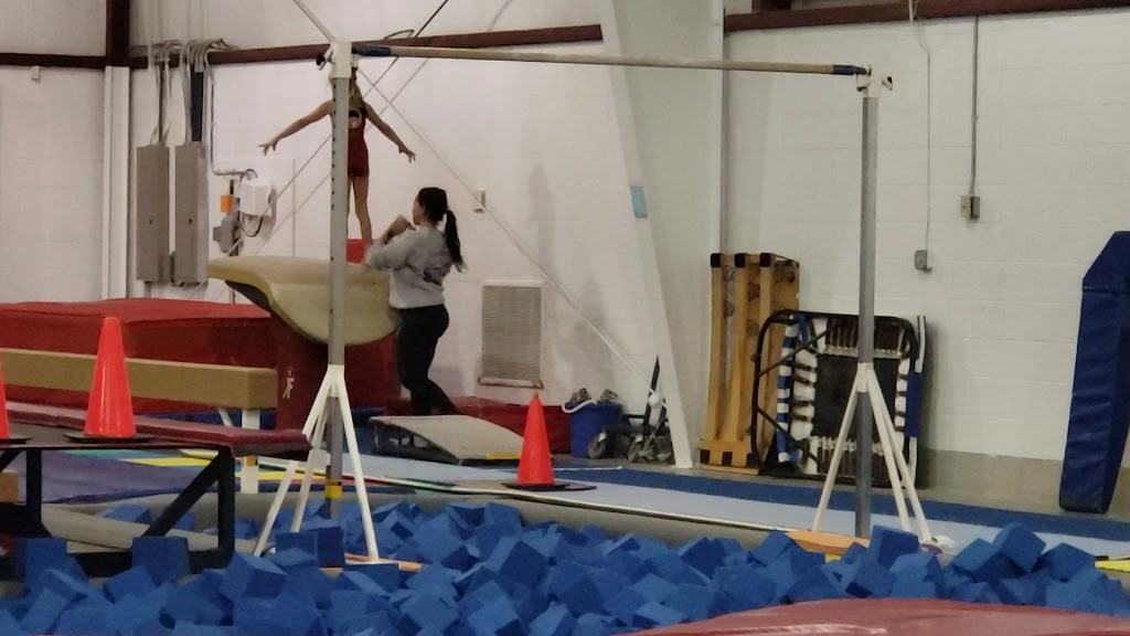  Gainesville Gymnastics