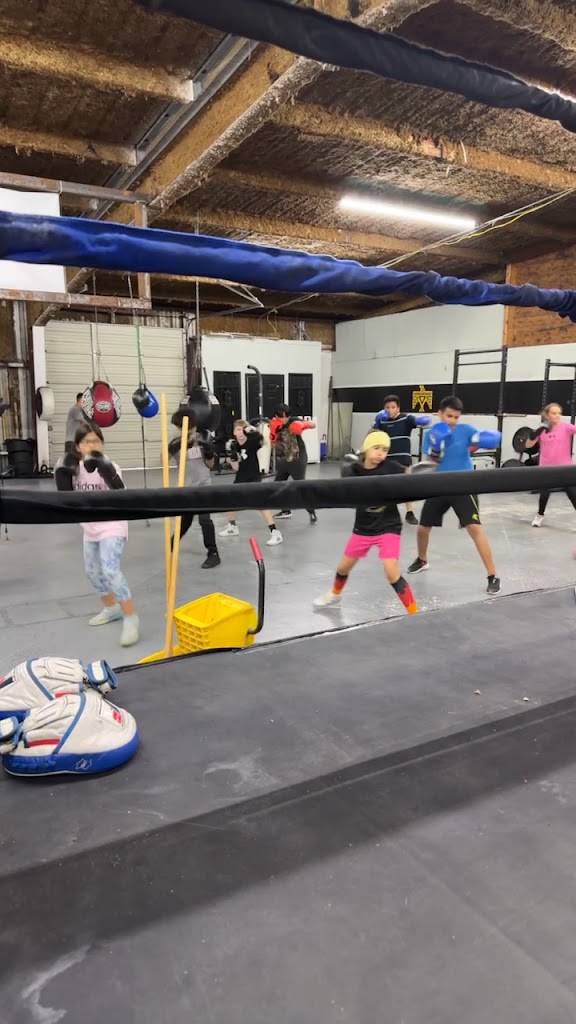  Texas Hard Hitters Boxing Club Powered By Movida