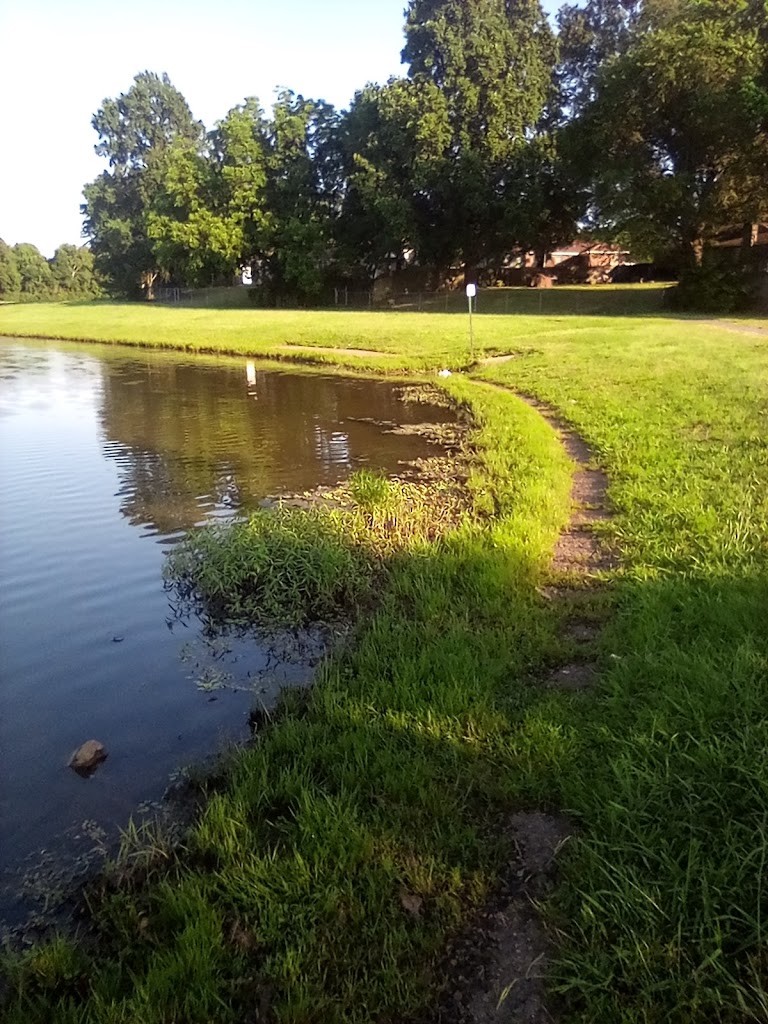  Controlled MovementZ