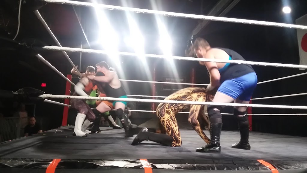  Pro Wrestling Mid South (The Herb Welch Wrestleplex)