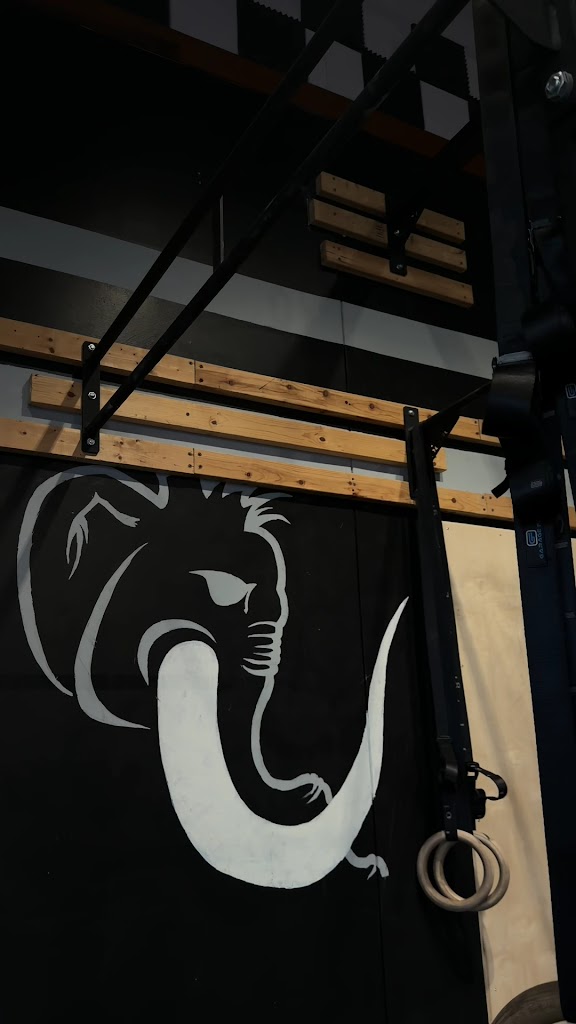  CrossFit Woolly Mammoth