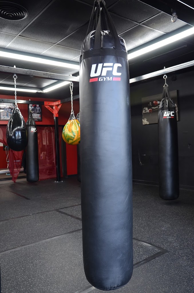  Body Exchange Boxing