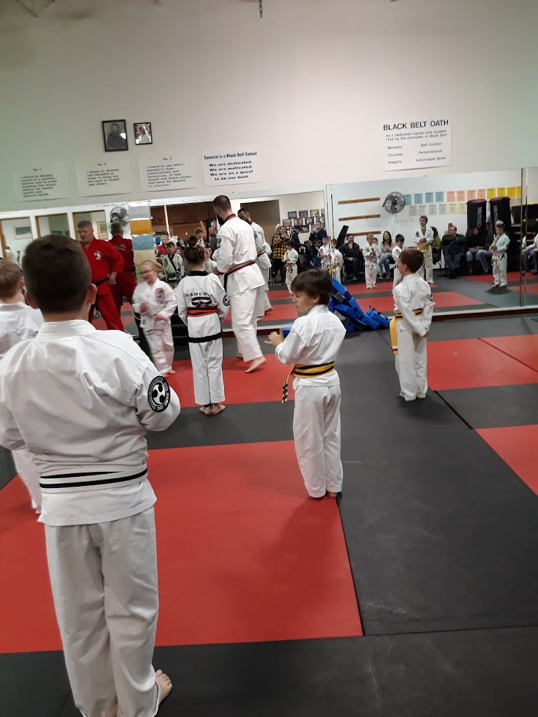  Samurai Martial Arts